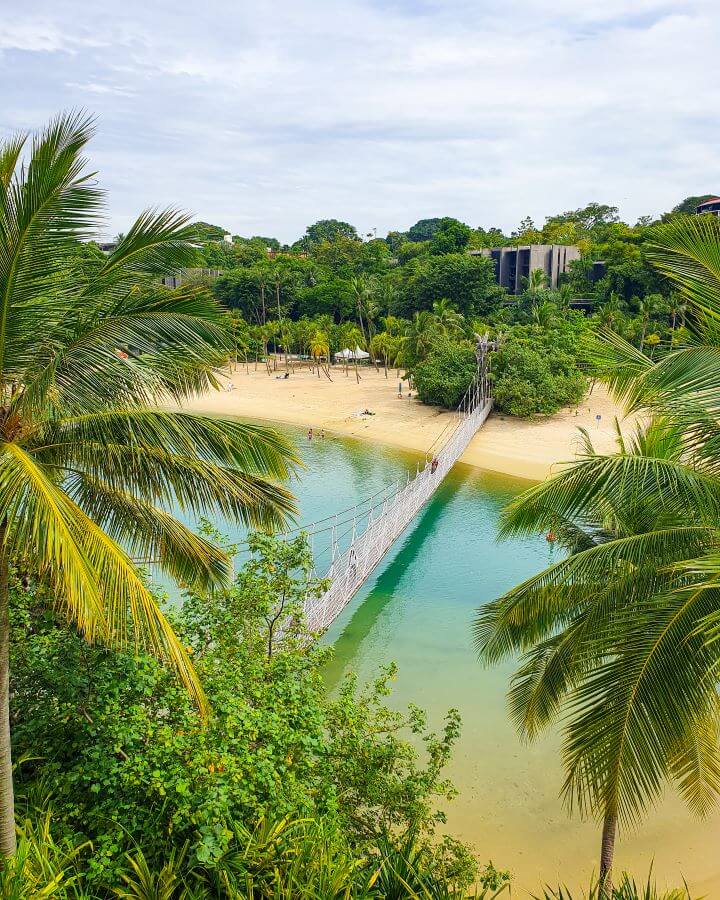 A picture taken from above on Sentosa Island, Singapore. Below are lots of palm trees as well as some water with a long rope bridge across it "10+ Best Affordable Things to do in Singapore"