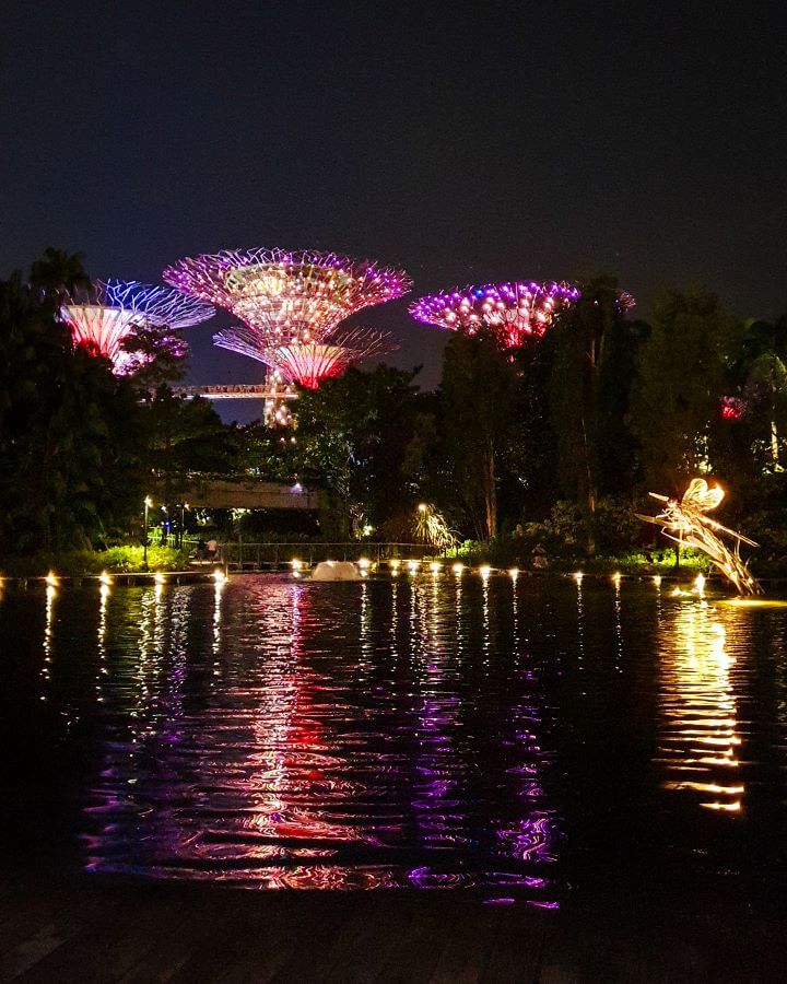 The Gardens By The Bay super trees all lit up at night with yellow, purple and blue coloured lights all reflecting on the water in front of the trees in Singapore "10+ Best Affordable Things to do in Singapore"