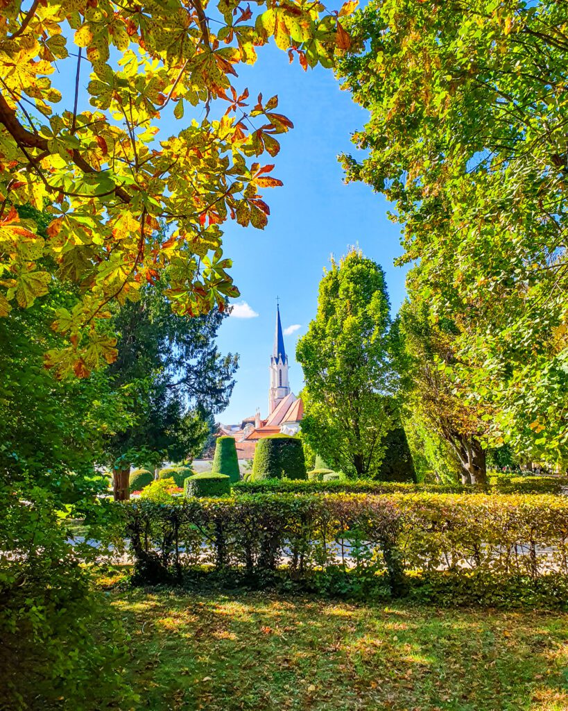 A view through lots of green and yellow plants to a church with a tall black spire in Schönbrunn Palace gardens in Vienna, Austria "Free and Budget Friendly Ways to Spend Your Time in Vienna"