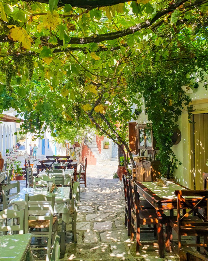 Some empty chairs and tables under a canopy of grape vines in Halki, Greece "How to Have the Best Time in Naxos on a Budget"