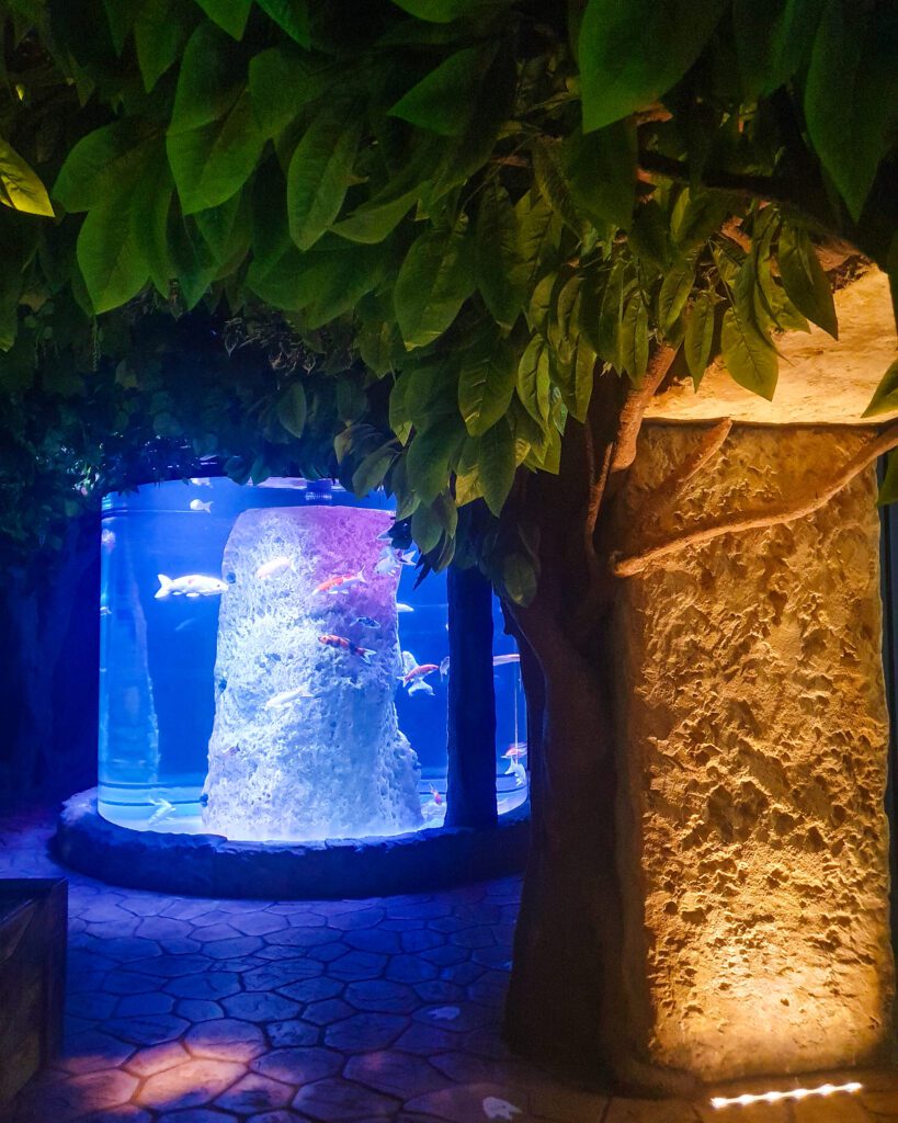 A tank of fish and some fake plants in the Malta Aquarium "Where Are the Best Areas to Stay in Malta?"