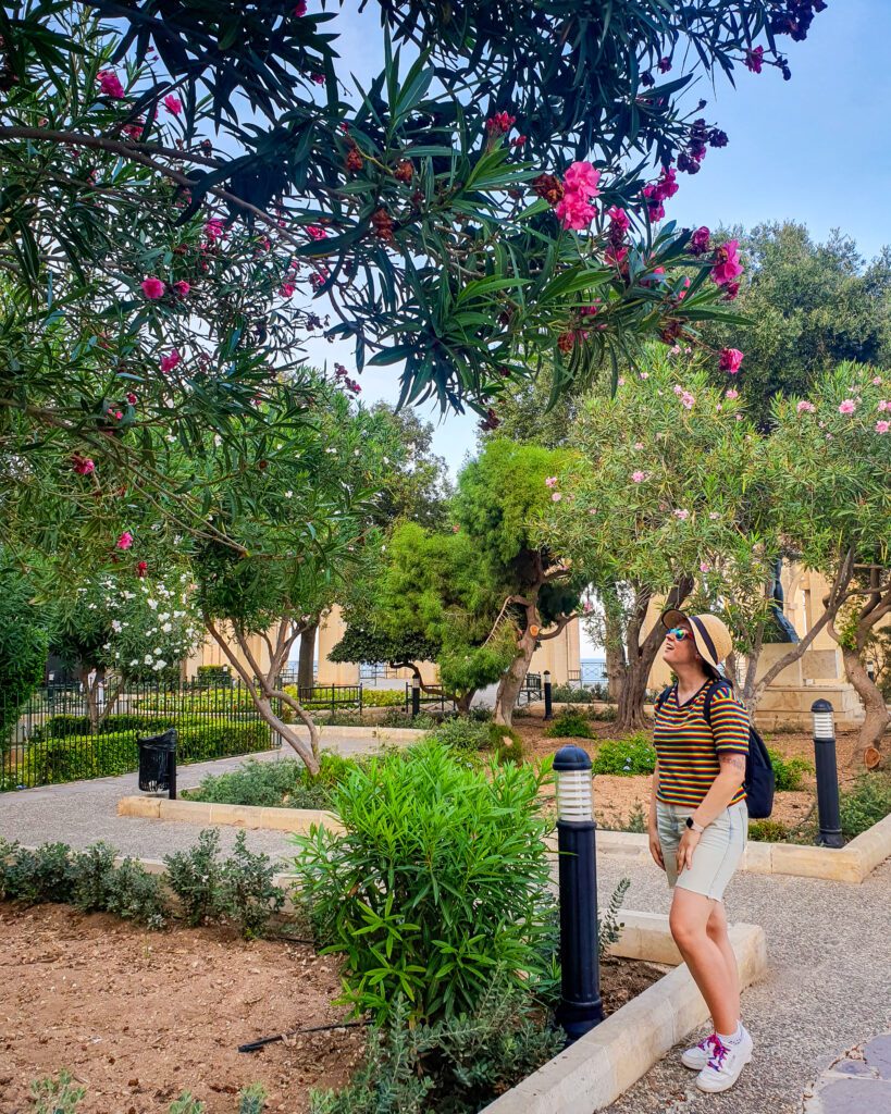 Where to stay in Malta. Krissie looking up at some colourful flowers with lots of trees around in the lower Barrakka gardens in Valletta, Malta "Where Are the Best Areas to Stay in Malta?"