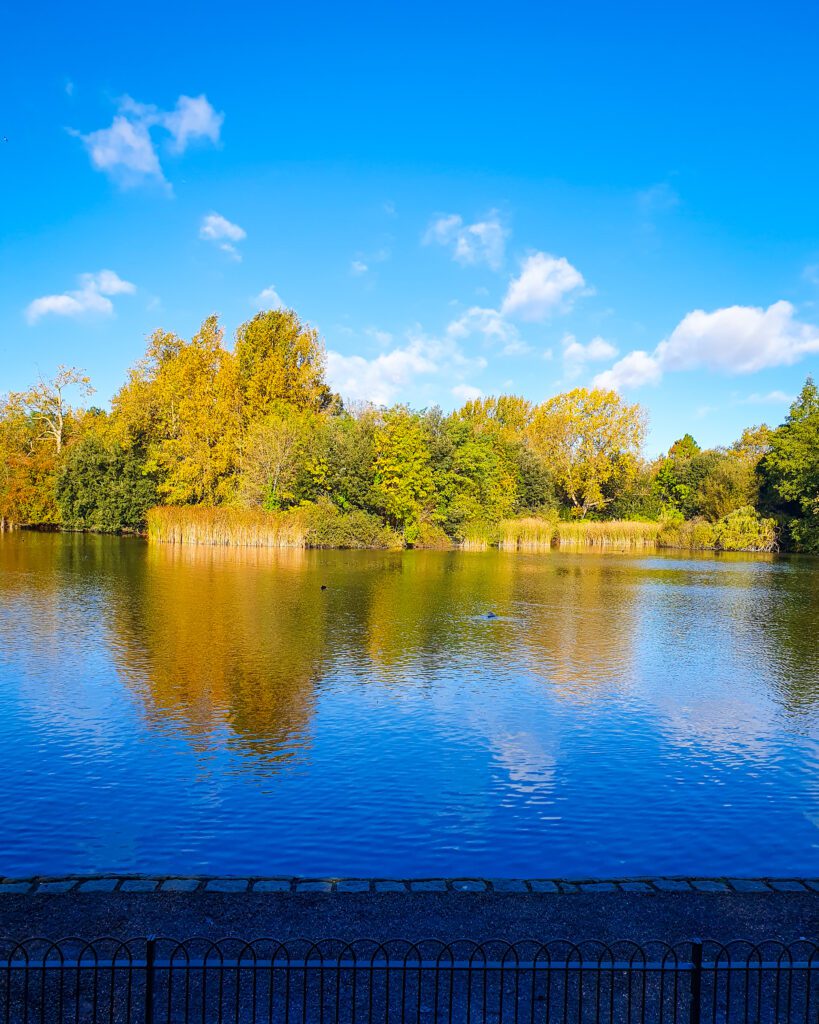 A lake in Battersea Park, London, England with beautiful yellow and green trees on the bank behind it "How to Have the Best Time in London (For Free!)"