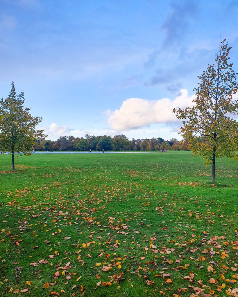 Kensington Gardens in London, England. There's a big green grass space with orange leaves all over it and two trees on either side of the photo. In the distance is a body of water and some people walking around it "How to Have the Best Time in London (For Free!)"