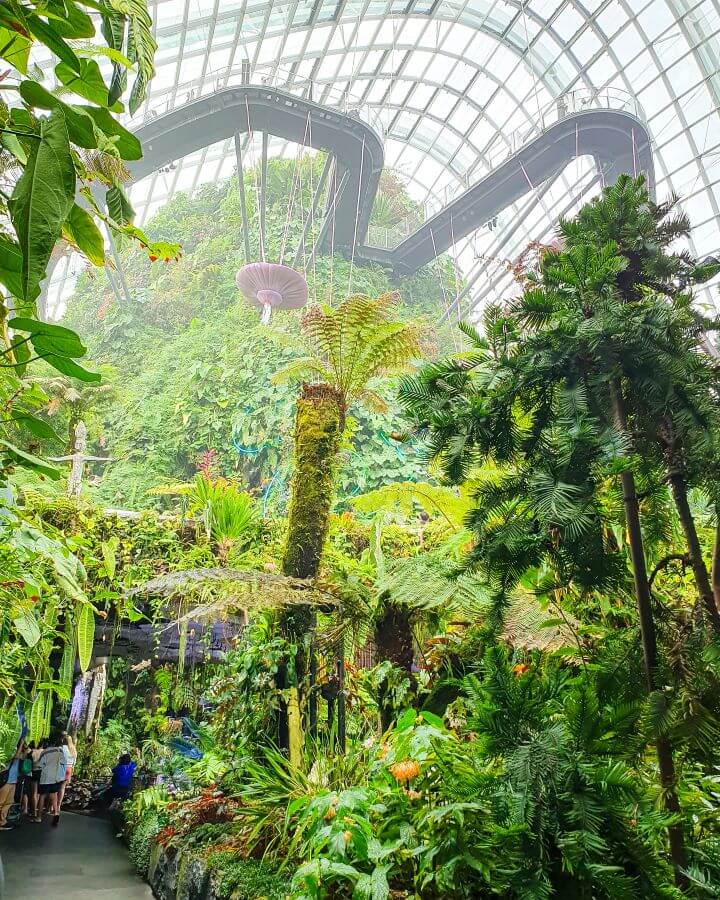 Lots of green plants and trees under parts of a big glass dome with a walkway zig zagging above it all in the Cloud Dome in Singapore "Singapore: A Complete Guide to the Public Transport System"