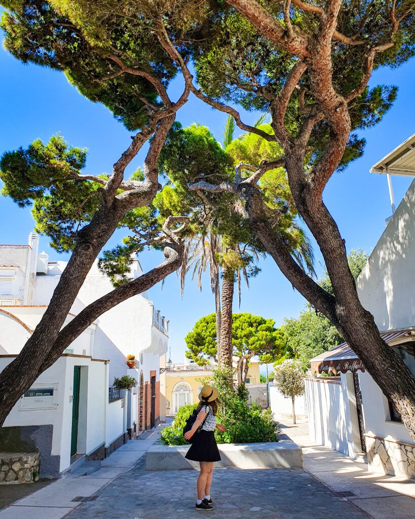 Katherine in between two big trees in Capri, Italy that are leaning in towards each other to create a little archway. There's also white buildings on either side of the trees and a clear blue sky behind it all "See Naples On a Budget With These Six Great Ideas!"