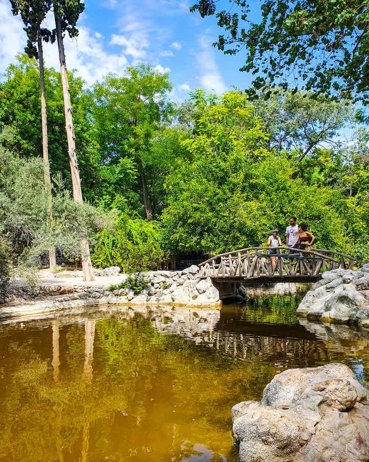 A very brown lake in the National Garden in Athens, Greece with a little wooden bridge going across it and lots of trees and rocks around "The 6+ Best Budget Friendly Activities in Athens"