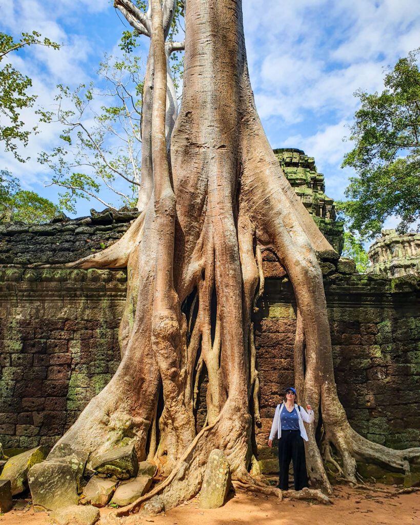 Katherine standing in front of a huge tree that's grown into the side of the Ta Prohm temple in Siem Reap Cambodia "The Ultimate Guide to Siem Reap: Temples, Markets, and More!"