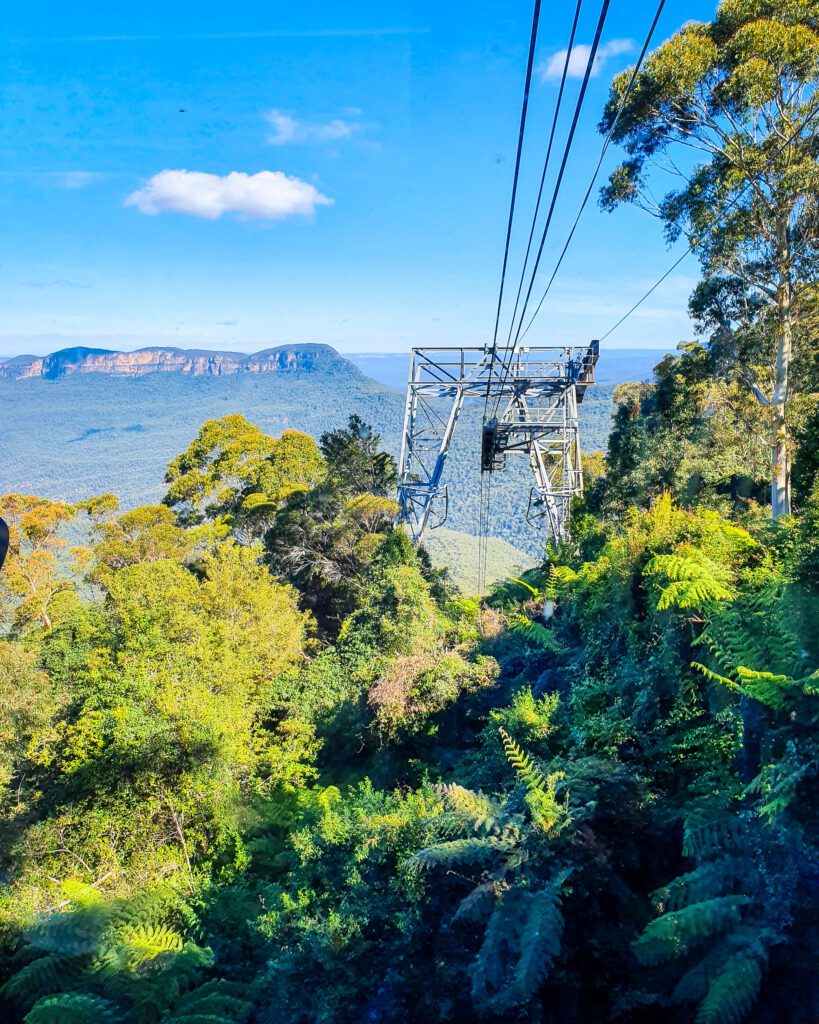 A view over a valley in the Blue Mountains, NSW with lots of trees and a mountain in the background. The valley has a blueish tinge and in the foreground are green trees and a cable car line heading down into the valley out of sight "Four Easy Day Trips From Sydney on the train"