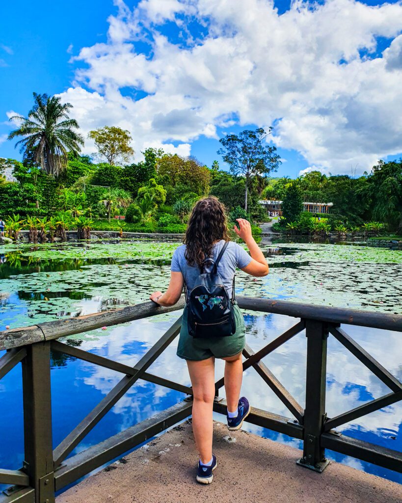 Krissie standing at the railing of the pond with her foot up on the railing in the Mount Coot-tha Botanic Gardens in Brisbane, QLD. Beyond her is the pond with lots of lily pads and beyond that are heaps of green trees and plants "How to See Brisbane in a Weekend"