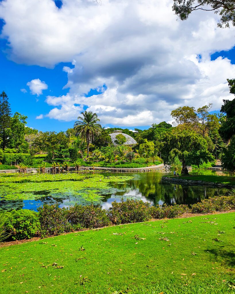 Some neat green grass in front of a pond in the Mount Coot-tha Botanic Gardens in Brisbane, QLD. Behind the pond are lots of green trees and bushes and you can just see the top of a white dome in amongst the plants "How to See Brisbane in a Weekend"