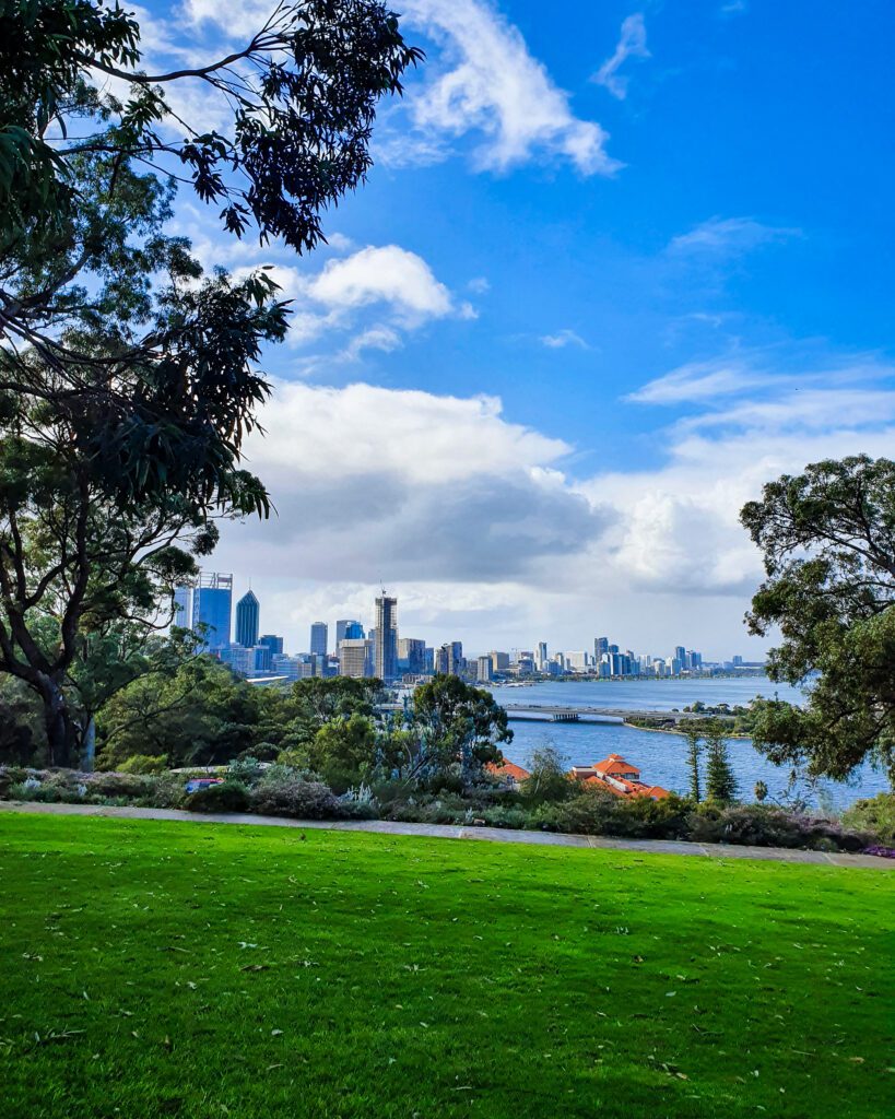 Some short neat green grass with a view of the Perth city high rises above it and some trees between the grass and the view in Kings Park Perth, WA. Above the city is the big blue sky with lots of clouds and you can also see some of the Swan River on the right too "How to See Perth in a Weekend"