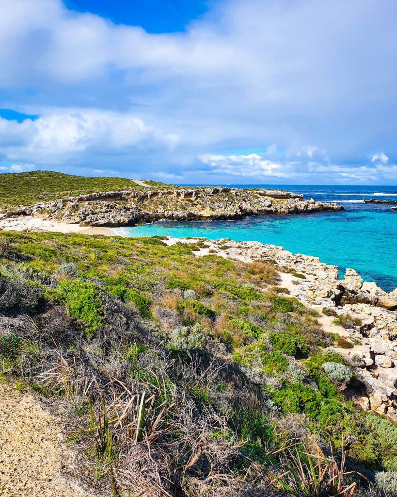 A landscape view of Rottnest Island, WA. There's lots of low green dense bush with white rocks on the right. Behind them in the middle of the photo is a beach with crystal blue water and behind the beach is more of the island with green bushes "Rottnest Island Day Trip: Everything You Need to Know"