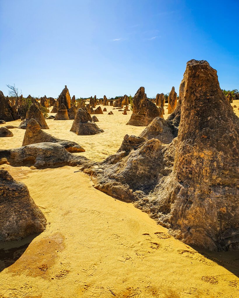 The bottom half of the photo is full of yellow sand and heaps of the pinnacles, WA which are big limestone structures and the top is the clear blue sky "How to See Perth in a Weekend"