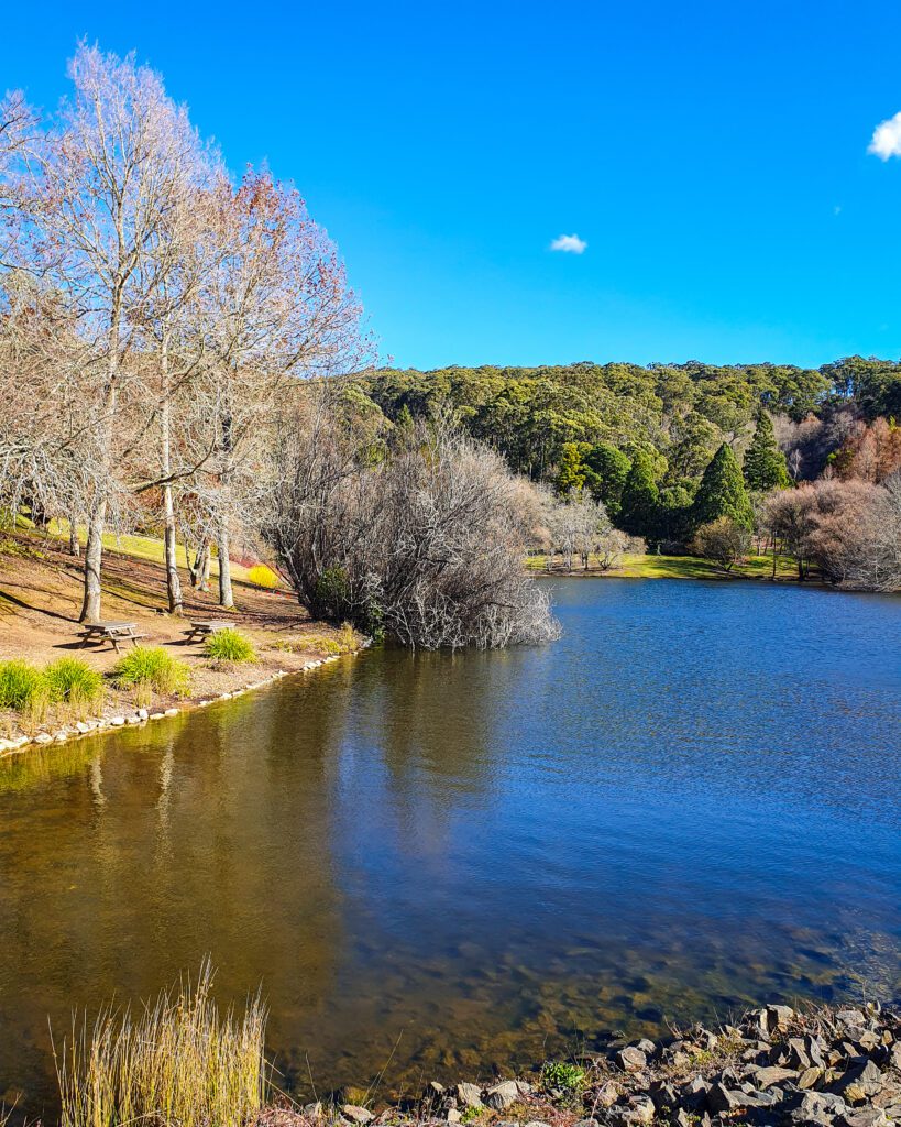 A lake with lots of trees around it in the Mount Lofty Botanic Gardens in South Australia. On the left of the lake are some wooden chairs and tables "How to See the Best of Adelaide in a Weekend"