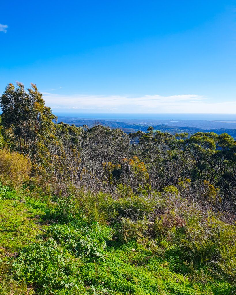 A view from the Mount Lofty Summit in South Australia. In the foreground is some green grass with lots of trees behind it. Behind it all is a view of Adelaide and its surrounds with the ocean at the very back. Above is all is a very blue sky "How to See the Best of Adelaide in a Weekend"