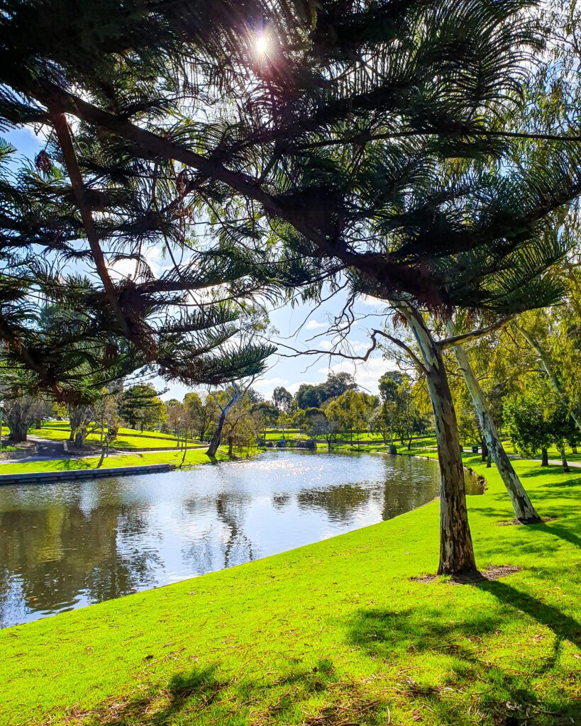 How to See the Best of Adelaide in a Weekend. A photo of the River Torrens in Adelaide, SA with lots of green grass and trees on either side