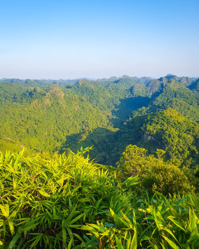 The view of endless pointed mountains covered in green trees and bushes on Cat Ba Island in Vietnam. In the foreground are green leaves and above it all is a clear blue sky "Lan Ha Bay: A Beautiful Alternative to Halong Bay"