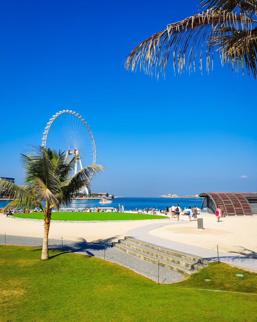 Green grass with a palm tree on the left and a white ferris wheel behind it, with some blue water, another patch of green grass, and some sand in between on Marina Beach in Dubai, UAE "Nine of the Best Budget Friendly Ways to see Dubai"