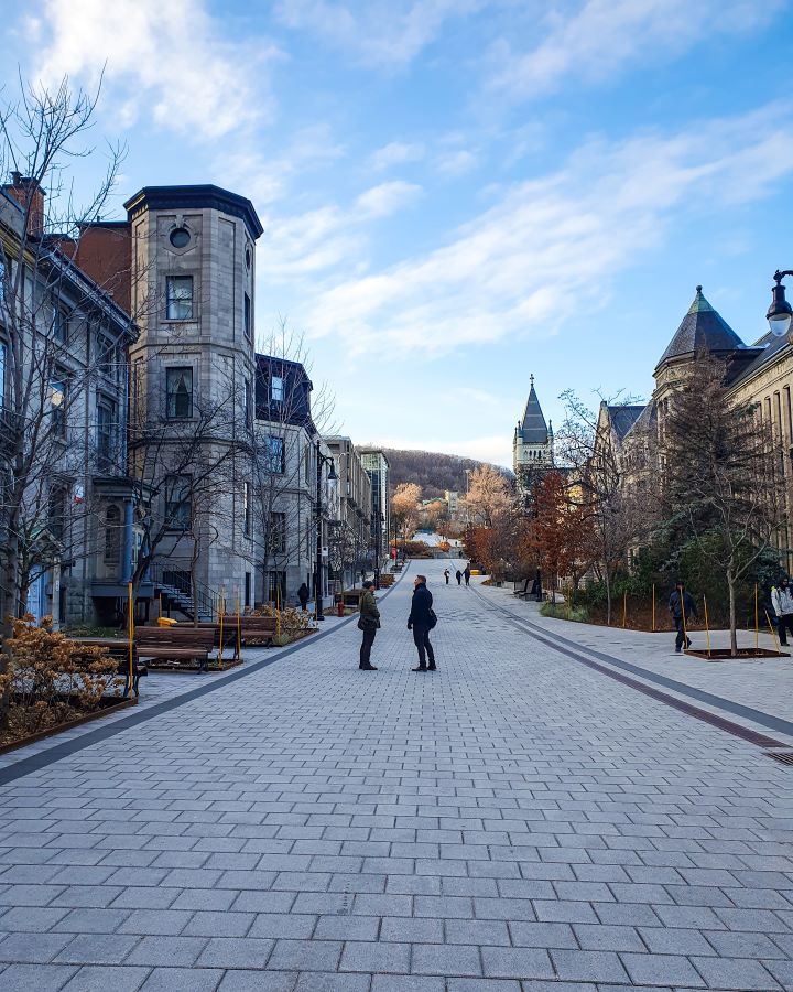 A street in McGill University in Montréal, Canada. The street is made of grey bricks and on either side are some beautiful brick buildings that are part of the uni. There are some trees and plants around and some wooden seating as well as people walking around too "Eight Great Free Things To See In Montréal"