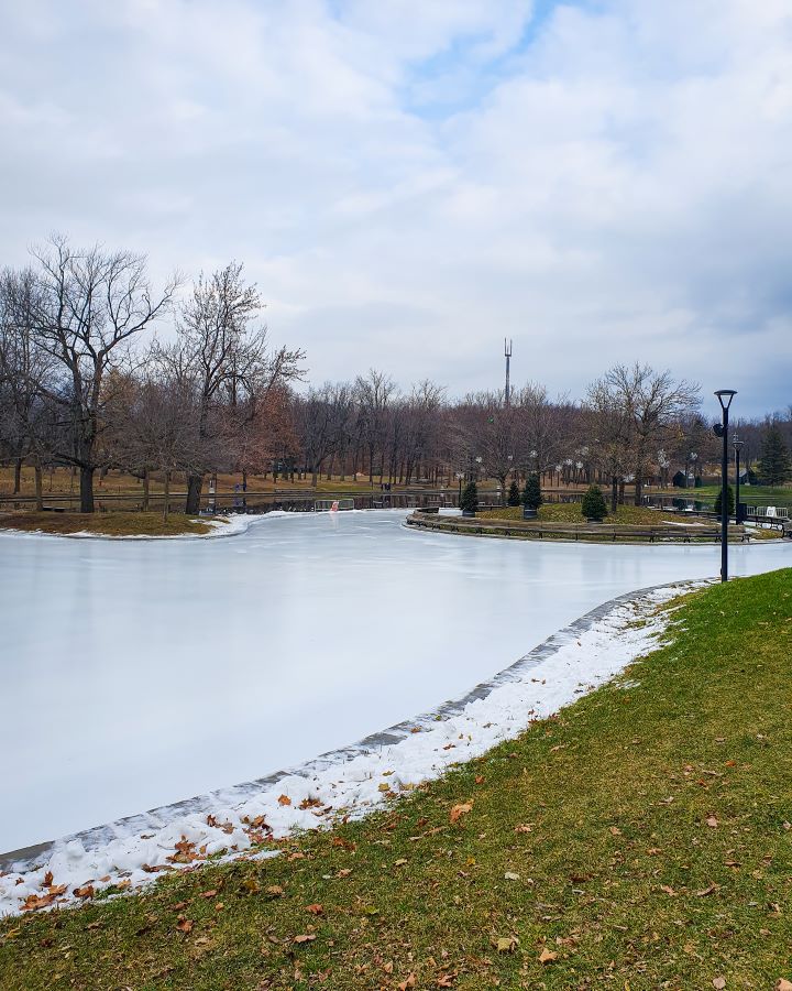 A frozen lake in Mount Royal Park, Montréal, Canada. Around the lake is short green grass and bare brown trees, and in the middle of the rink is a little patch of grass with more trees on it. The rink doesn't have any railings or anyone on it yet as it wasn't open at the time "Eight Great Free Things To See In Montréal"