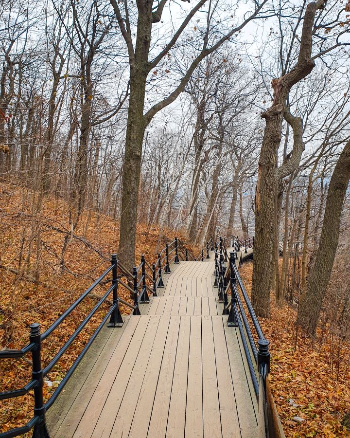 A wooden staircase leading down the hill with a black metal railing on either side in Mount Royal Park, Montréal, Canada. Around the staircase are lots of orange leaves on the ground and brown bare trees "Eight Great Free Things To See In Montréal"