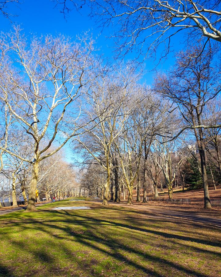 In Riverside Park, New York City USA. There's a big space with short green grass that goes away from the camera with paths on either side. There's also bare trees all around the park and the sky is blue above it "Non-Touristy Activities for Return Visitors to New York City"