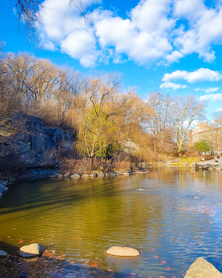 A little lake with rocks in and around it in Morningside Park in New York City, USA. Around the lake are trees, a little rocky cliff and a path behind it on the right "Non-Touristy Activities for Return Visitors to New York City"