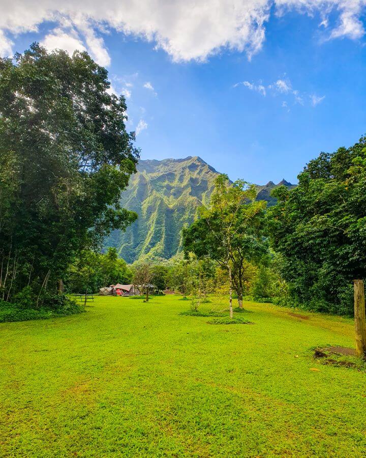 A large green space with some trees on either side and a huge pointy green hill in the background in the Ho'omaluhia Botanical Garden, O'ahu, Hawaii. Under the hill at the back of the green space is a little tent where people have been camping "Complete Guide to the Ho'omaluhia Botanical Garden Without a Car"