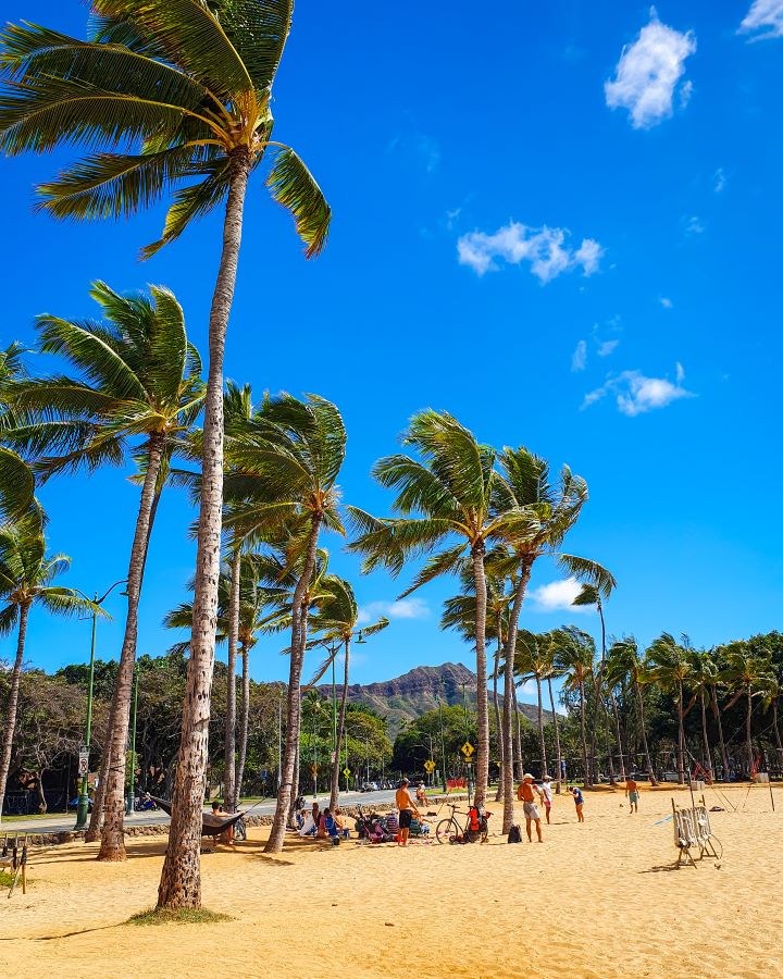 How to See O'ahu Without a Car. On Waikīkī beach in O'ahu, Hawaii. The yellow beach is on the bottom of the photo, with lots of palm trees and people on the beach. Behind it is a road, more trees and a big hill which is Diamond Head. Above is a beautiful blue sky.