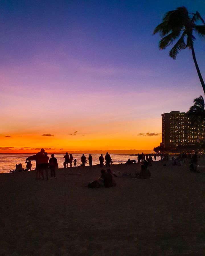 A beautiful sunset in Waikīkī , O'ahu, Hawaii. The bottom of the photo is the dark beach, with the water above it and a beautiful sunset going from red, to orange, to yellow, to purple, to light blue then a dark blue on top. On the right there's a high rise building with the windows lit up and a palm tree silhouette. "How to See O'ahu Without a Car"