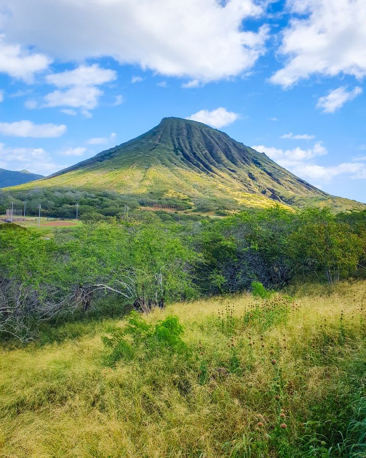 In the foreground is yellow and green grass and bushes, but the main highlight of the photo is a big green volcano which is Koko Head in O'ahu, Hawaii. "How to See O'ahu Without a Car"